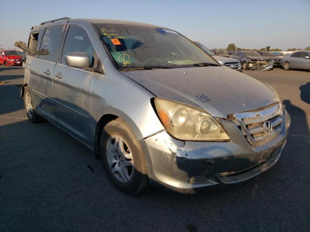 HONDA ODYSSEY EX 2005 with VIN 5FNRL38415B113827 - Photo from auction