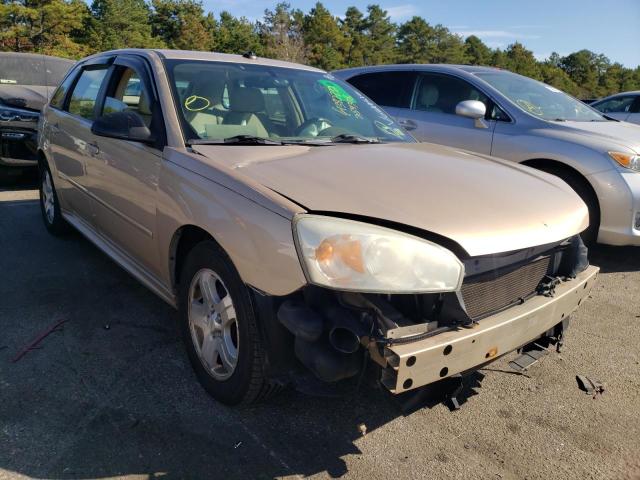 CHEVROLET MALIBU MAX 2005 with VIN 1G1ZU64885F254308 - Photo from auction