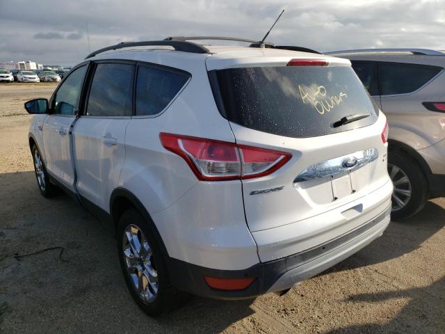 Photo 3 from auction – 2013 FORD ESCAPE SEL with VIN 1FMCU9H9XDUD90494