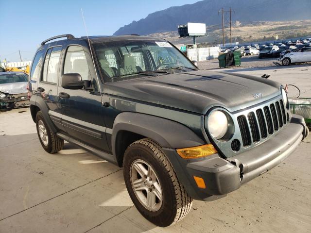JEEP LIBERTY SP 2006 with VIN 1J4GL48K96W165404 - Photo from auction