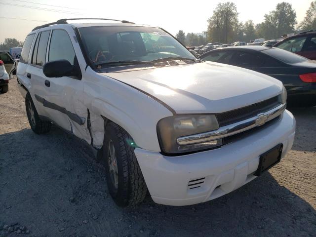 CHEVROLET TRAILBLAZE 2005 with VIN 1GNDT13S652261289 - Photo from auction