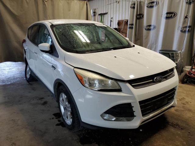 FORD ESCAPE SE 2014 with VIN 1FMCU0GX0EUB04651 - Photo from auction