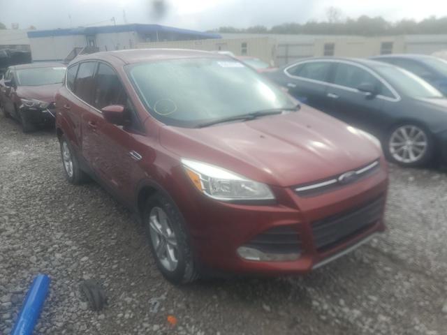 FORD ESCAPE SE 2016 with VIN 1FMCU0G77GUA35895 - Photo from auction