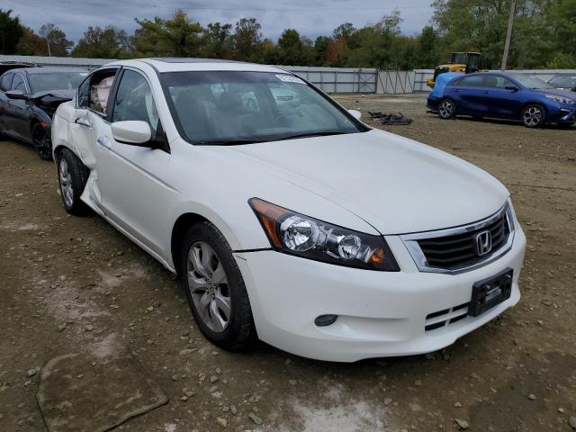 HONDA ACCORD EXL 2010 with VIN 5KBCP3F81AB019037 - Photo from auction