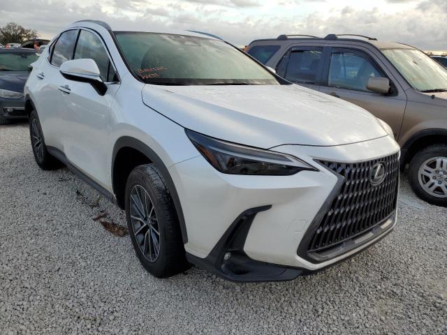 LEXUS NX 250 2022 with VIN JTJADCAZ2N5000242 - Photo from auction