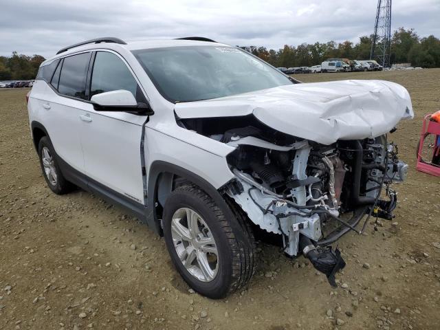 Photo 1 from auction – 2019 GMC TERRAIN SL with VIN 3GKALTEV6KL354729