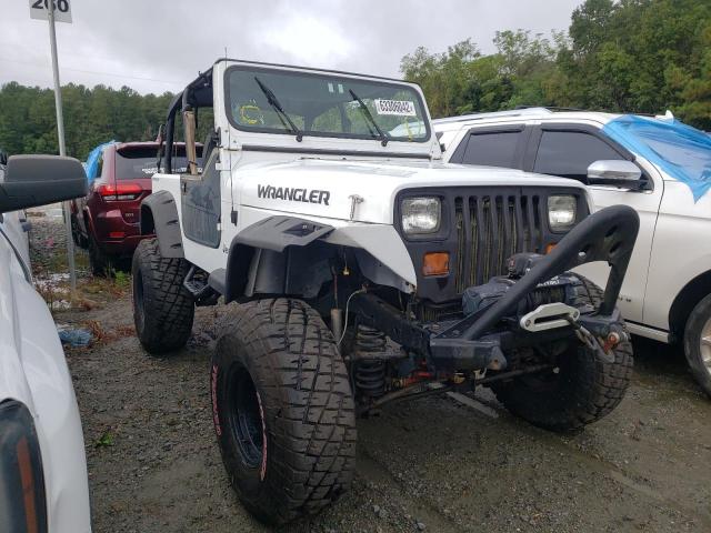 JEEP WRANGLER / 1995 with VIN 1J4FY19P2SP313161 - Photo from auction
