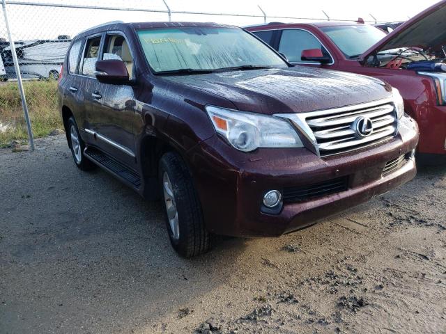 LEXUS GX 460 PRE 2010 with VIN JTJJM7FX9A5016639 - Photo from auction
