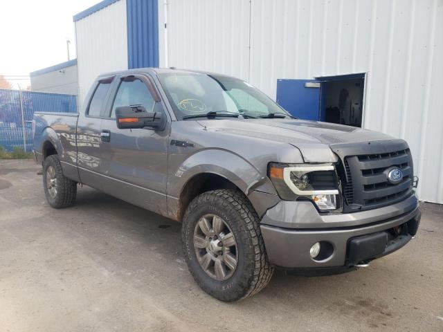 FORD F150 SUPER 2009 with VIN 1FTPX14V69FA77374 - Photo from auction