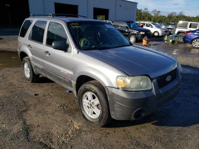 FORD ESCAPE XLS 2007 with VIN 1FMYU02Z67KA44601 - Photo from auction