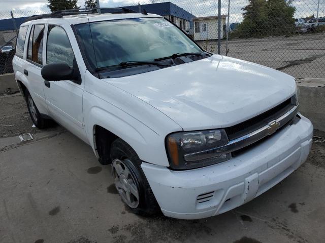 CHEVROLET TRAILBLAZE 2006 with VIN 1GNDT13S862255236 - Photo from auction