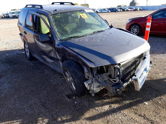 FORD ESCAPE XLT 2009 with VIN 1FMCU03G59KA26083 - Photo from auction