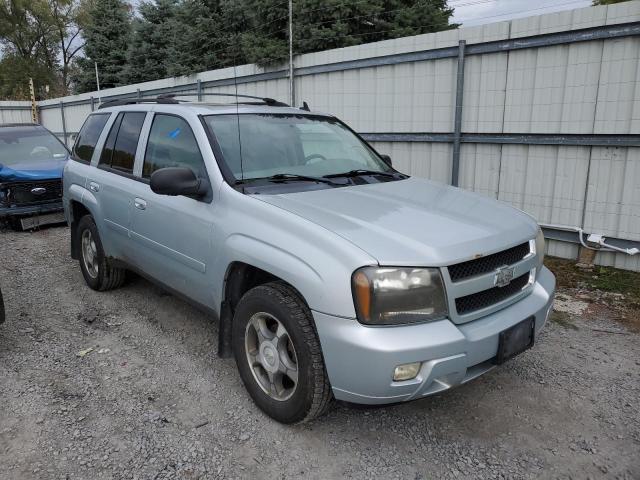 CHEVROLET TRAILBLAZE 2008 with VIN 1GNDT13S182117976 - Photo from auction