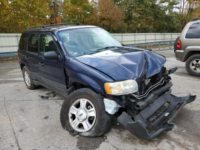 FORD ESCAPE XLT 2004 with VIN 1FMYU03154DA05832 - Photo from auction