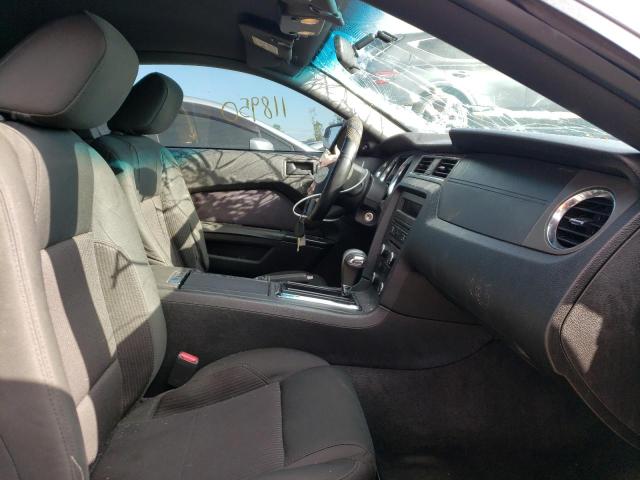 Photo 5 from auction – 2011 FORD MUSTANG with VIN 1ZVBP8AM0B5128665