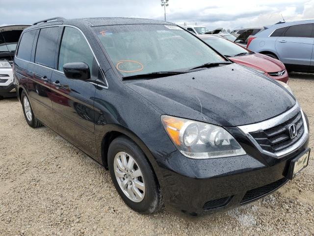 HONDA ODYSSEY EX 2008 with VIN 5FNRL38648B013033 - Photo from auction