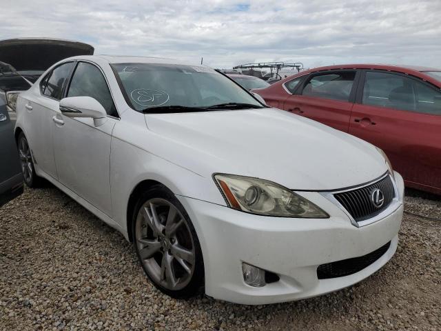LEXUS IS 250 2009 with VIN JTHBK262995094871 - Photo from auction