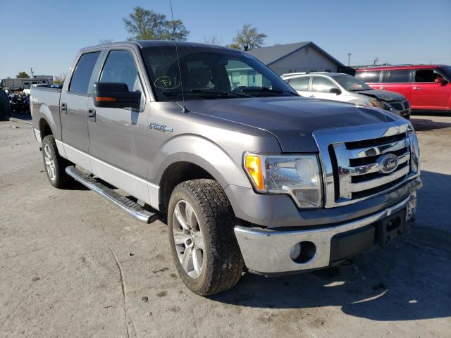 FORD F150 SUPER 2010 with VIN 1FTEW1E84AFD55681 - Photo from auction