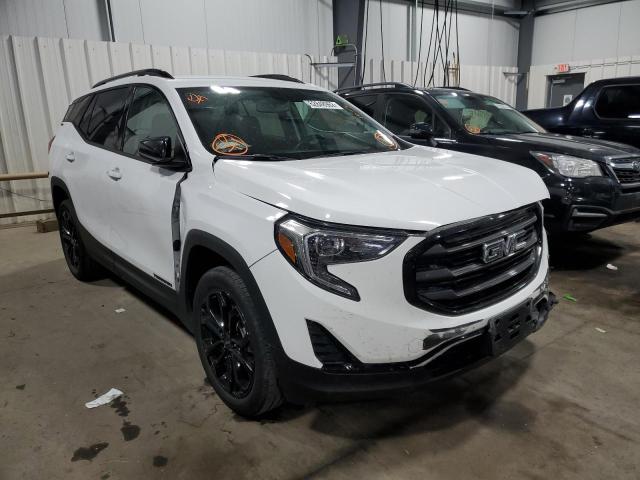 GMC TERRAIN SL 2019 with VIN 3GKALTEV8KL303684 - Photo from auction