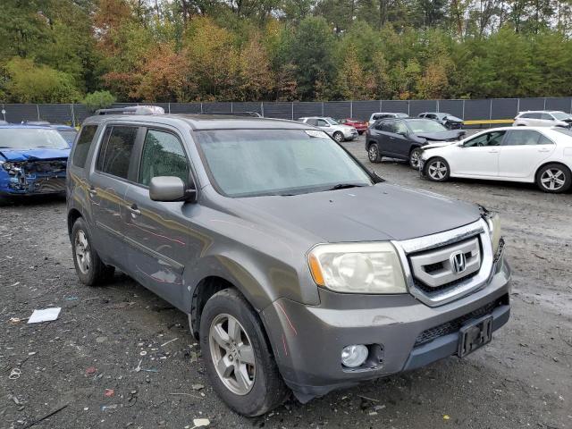 HONDA PILOT EXL 2009 with VIN 5FNYF48579B043225 - Photo from auction