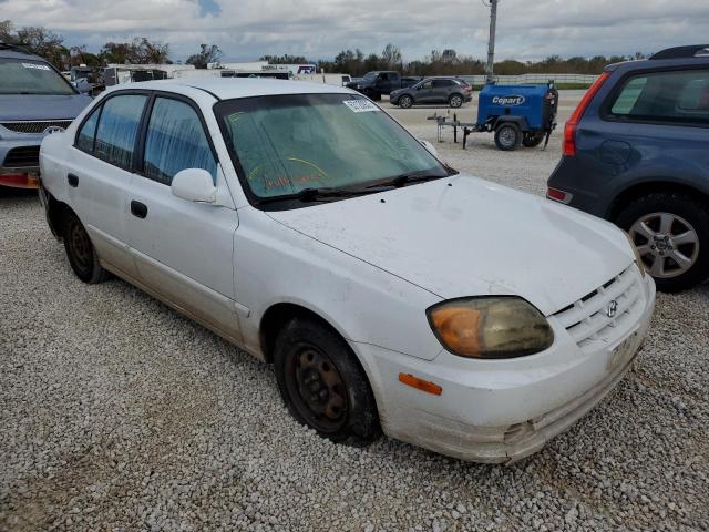HYUNDAI ACCENT GL 2003 with VIN KMHCG45C33U490610 - Photo from auction