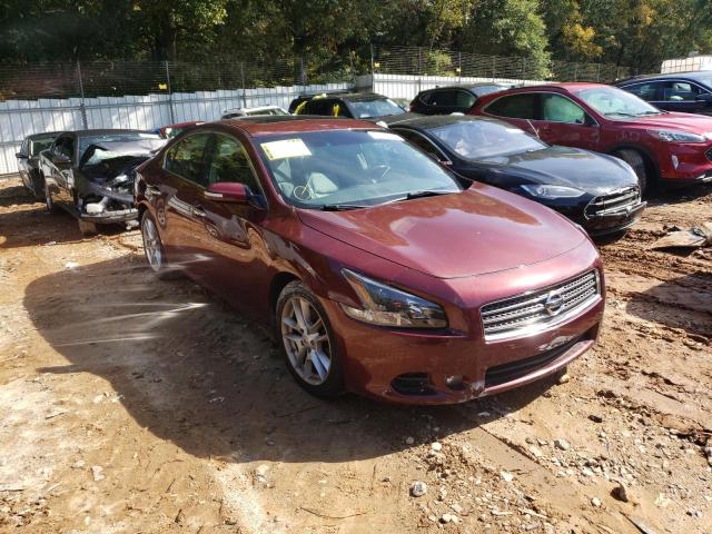 NISSAN MAXIMA S 2010 with VIN 1N4AA5AP4AC842730 - Photo from auction