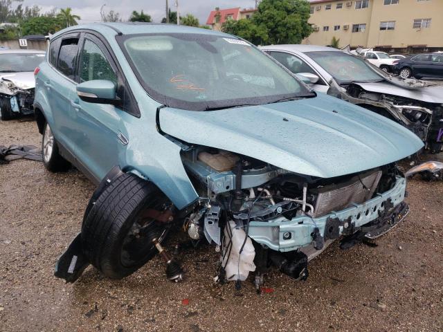 FORD ESCAPE SEL 2013 with VIN 1FMCU0HX1DUD48144 - Photo from auction