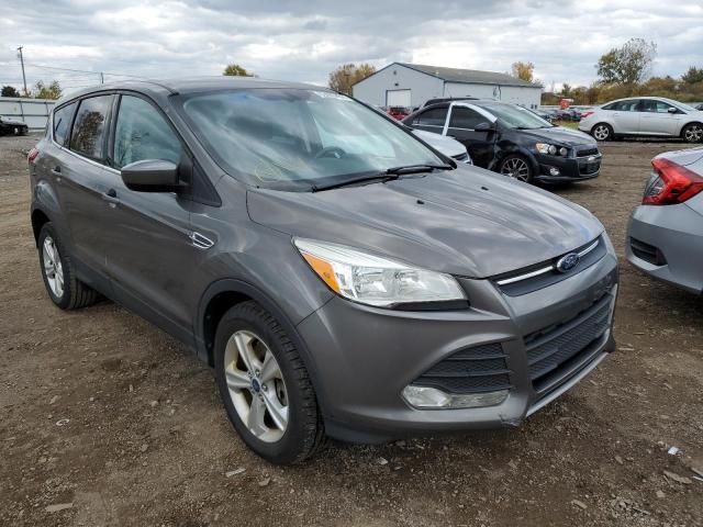FORD ESCAPE SE 2014 with VIN 1FMCU0G99EUA14626 - Photo from auction
