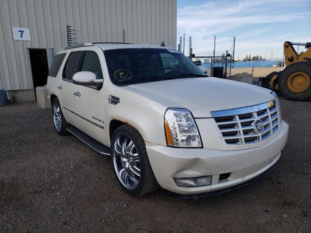 Photo 1 from auction – 2007 CADILLAC ESCALADE L with VIN 1GYFK63837R253872