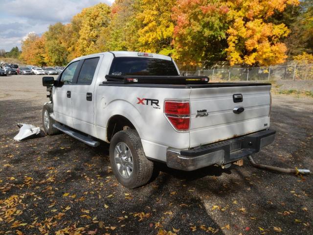 Photo 3 from auction – 2010 FORD F150 SUPER with VIN 1FTFW1EV7AFD21597