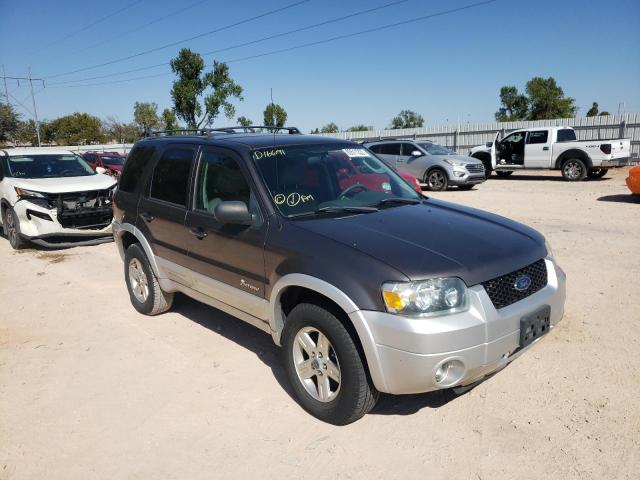 FORD ESCAPE HEV 2005 with VIN 1FMCU95H45KD16691 - Photo from auction