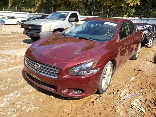 Photo 2 from auction – 2010 NISSAN MAXIMA S with VIN 1N4AA5AP4AC842730