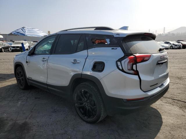Photo 3 from auction – 2021 GMC TERRAIN SL with VIN 3GKALPEV3ML341429