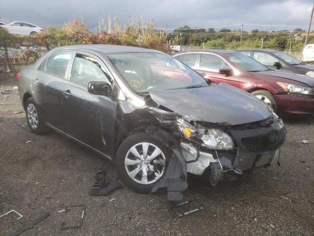 TOYOTA COROLLA BA 2010 with VIN 1NXBU4EE8AZ380977 - Photo from auction