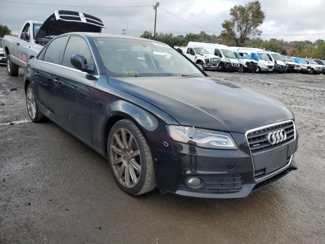 AUDI A4 PREMIUM 2011 with VIN WAUHFBFL8BN037640 - Photo from auction
