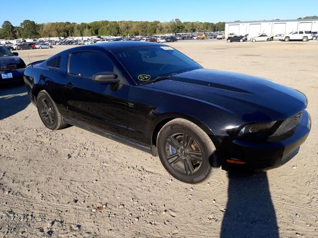 FORD MUSTANG 2011 with VIN 1ZVBP8AM3B5111357 - Photo from auction