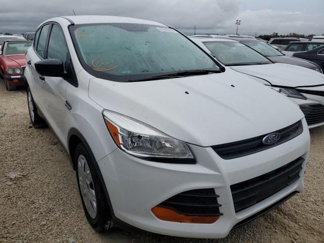 FORD ESCAPE S 2016 with VIN 1FMCU0F72GUB53256 - Photo from auction