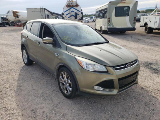 FORD ESCAPE SEL 2013 with VIN 1FMCU0HX8DUC96057 - Photo from auction