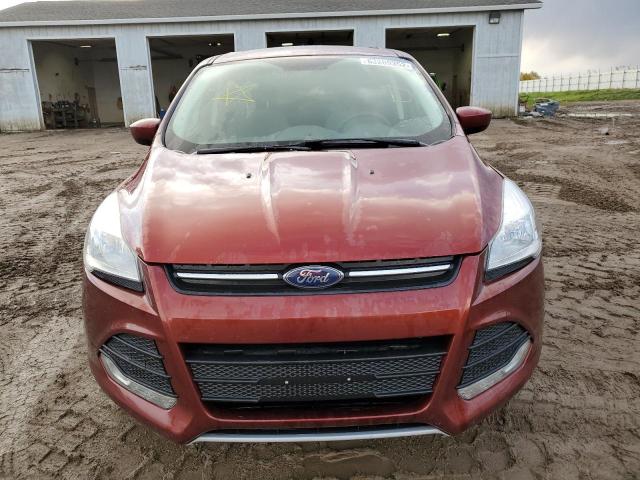 Photo 9 from auction – 2014 FORD ESCAPE SE with VIN 1FMCU0GX8EUA78431