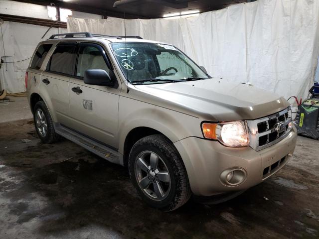 FORD ESCAPE XLT 2010 with VIN 1FMCU9DG4AKC46810 - Photo from auction