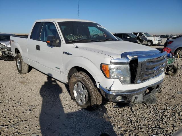FORD F150 SUPER 2011 with VIN 1FTFX1ET3BFC07657 - Photo from auction