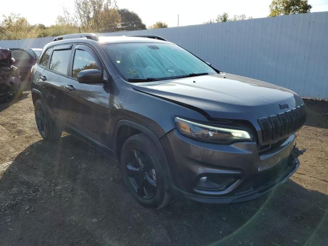 JEEP CHEROKEE L 2020 with VIN 1C4PJMLB6LD618128 - Photo from auction