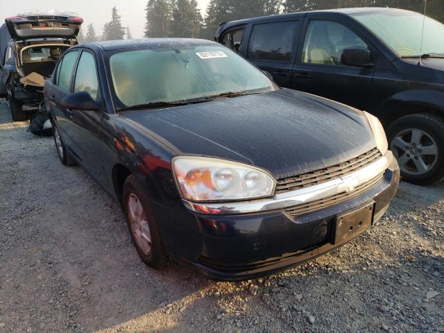 CHEVROLET MALIBU LS 2004 with VIN 1G1ZT54894F151832 - Photo from auction