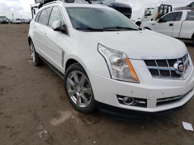 CADILLAC SRX PERFOR 2012 with VIN 3GYFNBE35CS554636 - Photo from auction