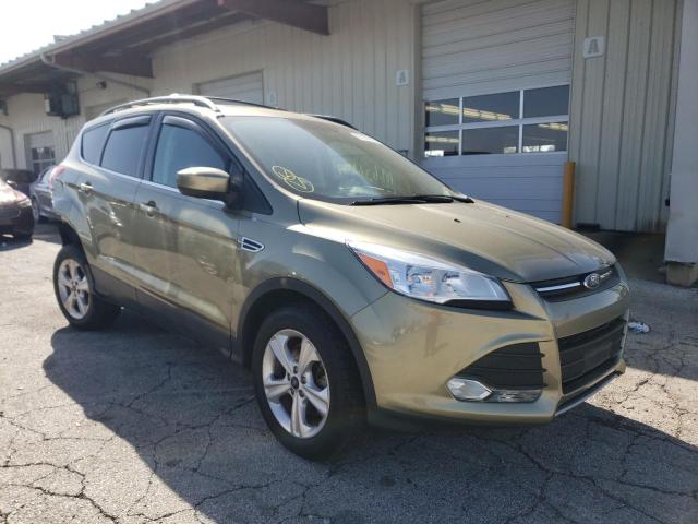 FORD ESCAPE SE 2013 with VIN 1FMCU0G94DUD34192 - Photo from auction