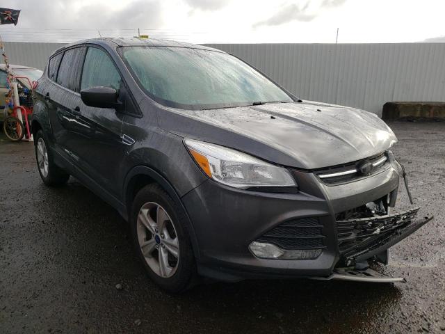 FORD ESCAPE SE 2016 with VIN 1FMCU9G96GUA48272 - Photo from auction