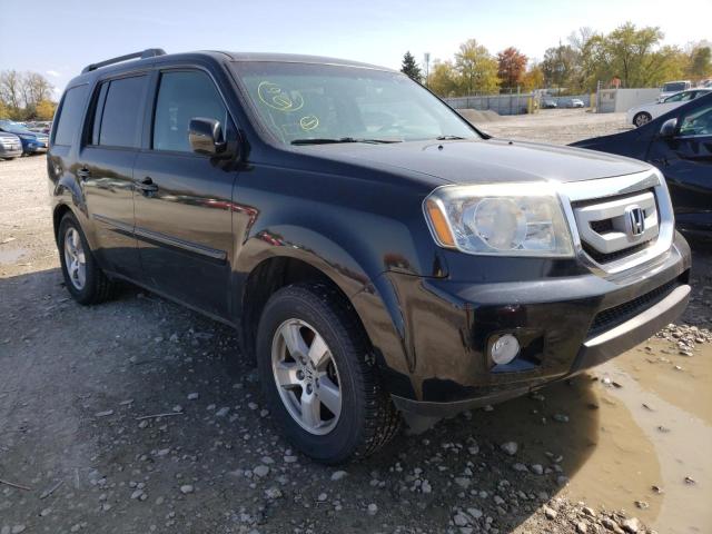 HONDA PILOT EXL 2011 with VIN 5FNYF4H5XBB050885 - Photo from auction