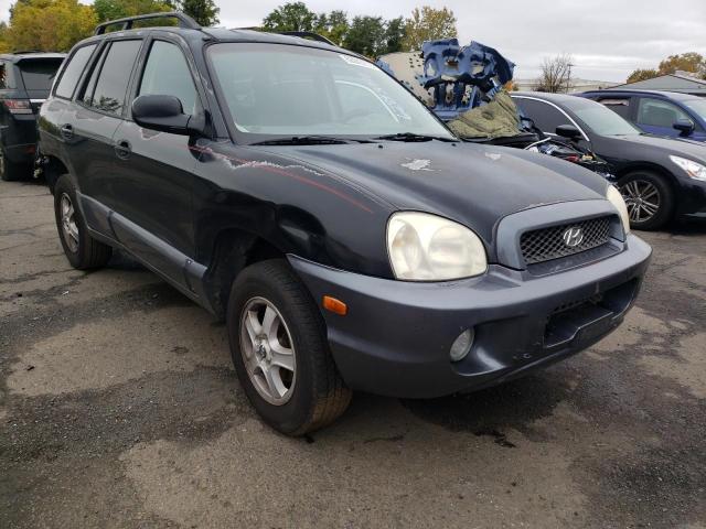 HYUNDAI SANTA FE G 2003 with VIN KM8SC13D73U438169 - Photo from auction