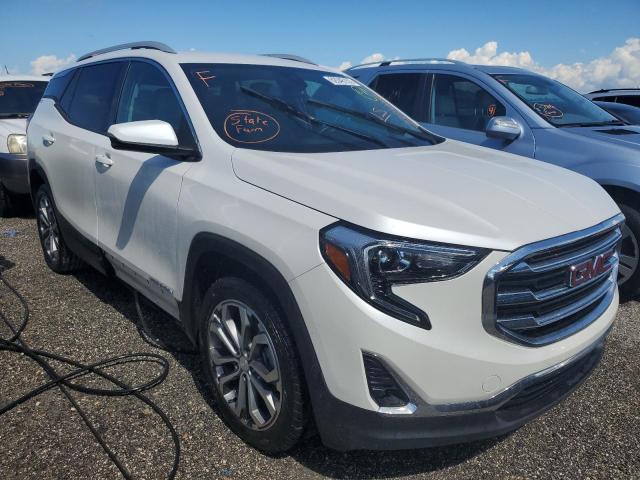 GMC TERRAIN SL 2020 with VIN 3GKALPEV1LL304152 - Photo from auction