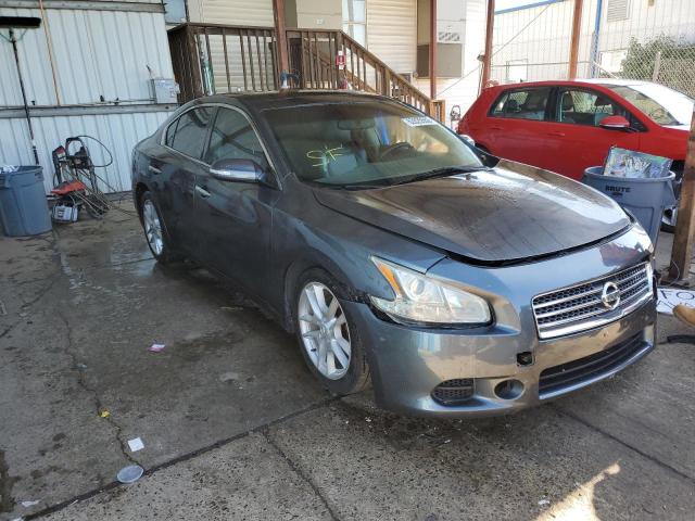 NISSAN MAXIMA S 2010 with VIN 1N4AA5AP5AC846656 - Photo from auction